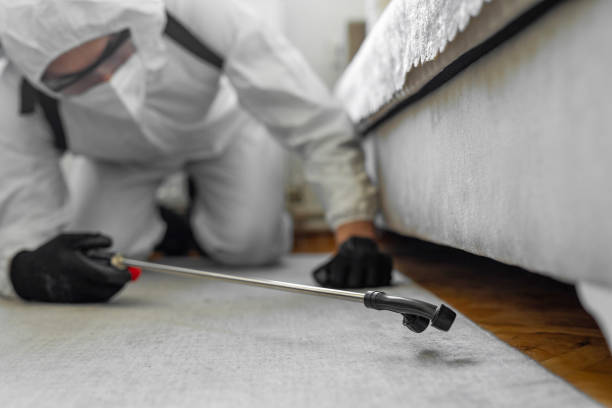 Professional Pest Control technician working in Cedar Heights, MD
