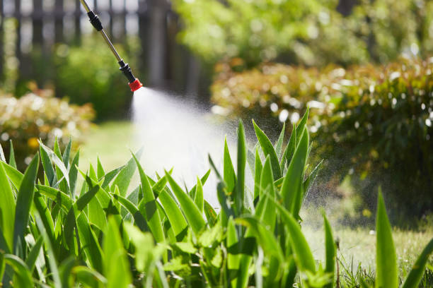 24/7 Emergency Rodent Control experts in Cedar Heights, MD