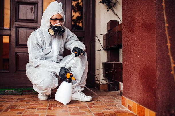 Reliable Rodent Control contractor in Cedar Heights, MD by Nex Pest Control