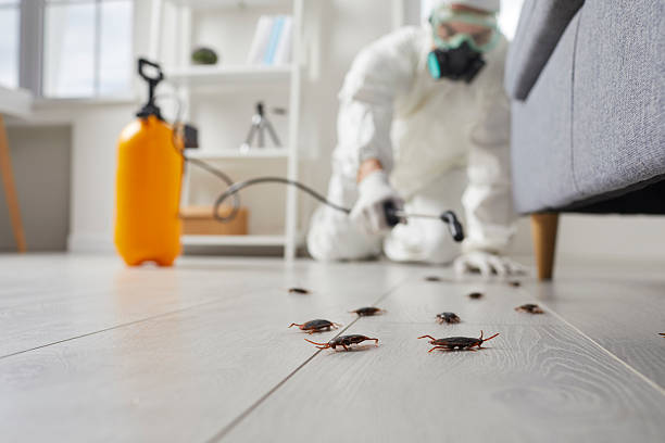 Trusted Cockroach Control service in Cedar Heights, MD - Nex Pest Control