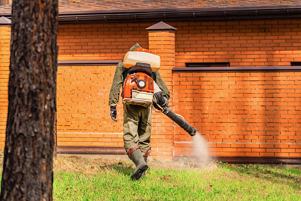 Trusted Rodent Control service in Cedar Heights, MD - Nex Pest Control